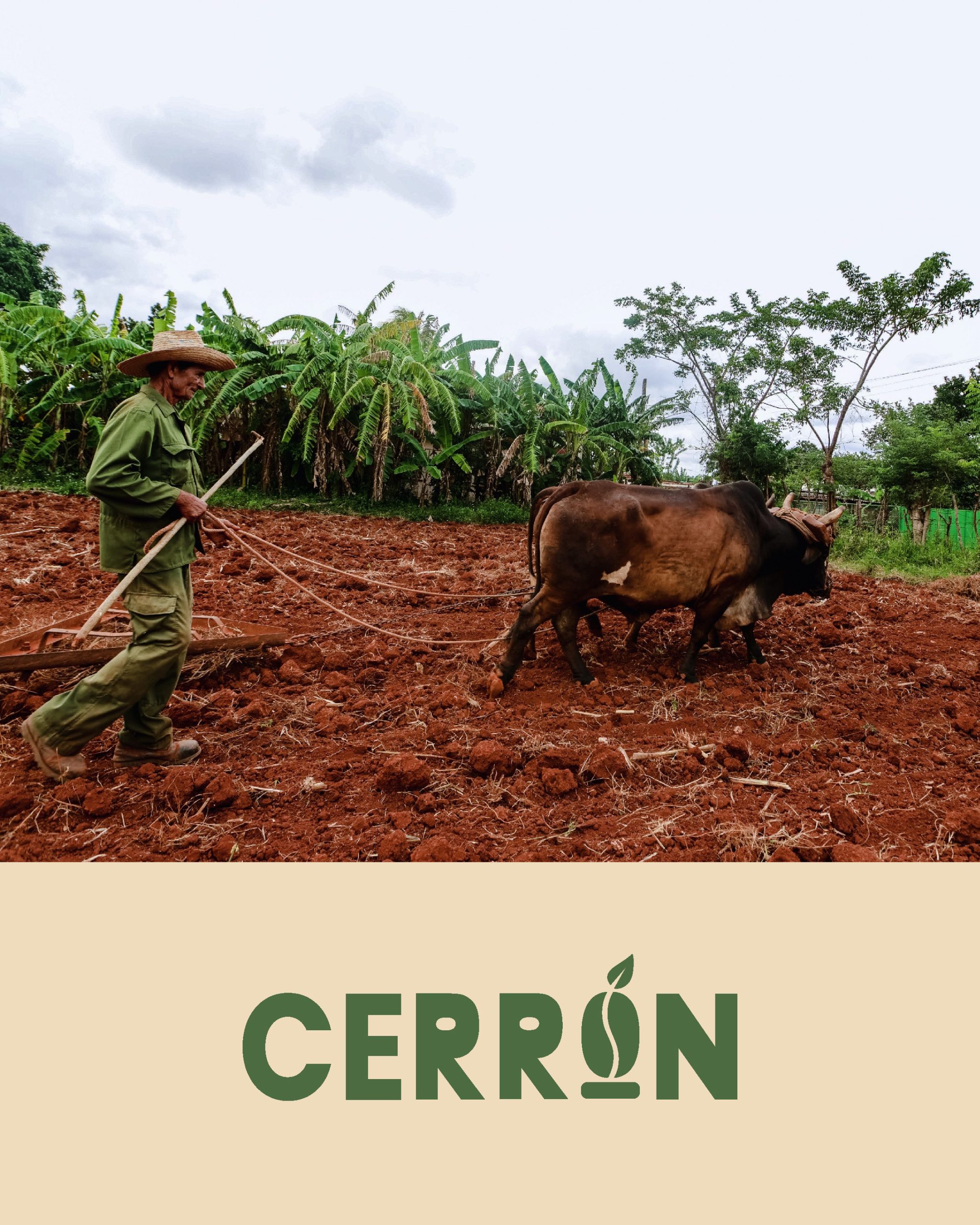 cerron-03